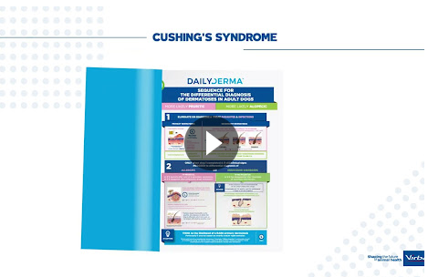 (video 4) Cushing´s syndrome Management